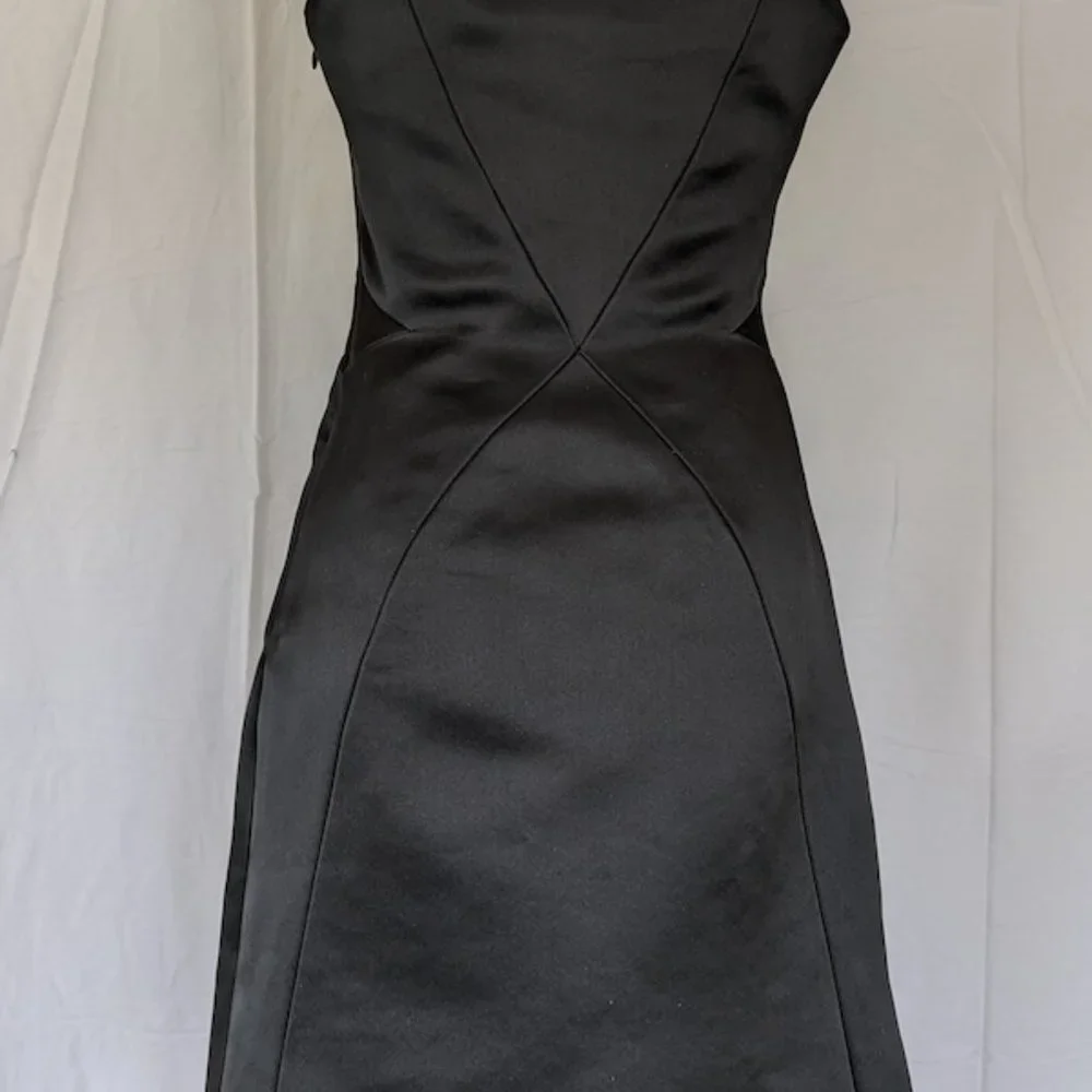 The Danes New York (Robert Danes) Custom Cocktail Dress - Picture 4 of 7
